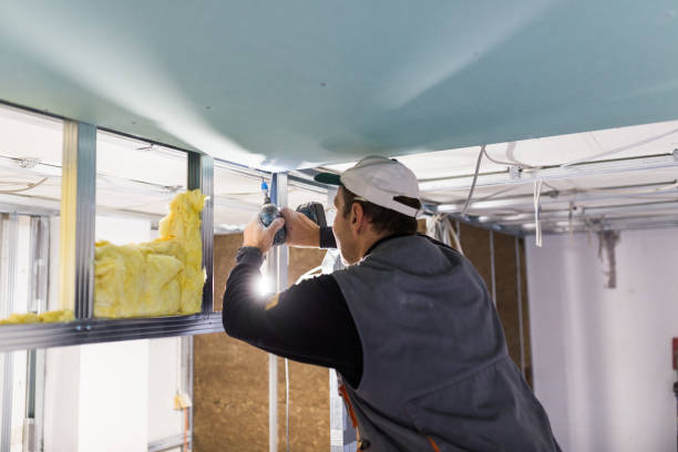 Best Insulation Repair Services  in Indian Trail, NC