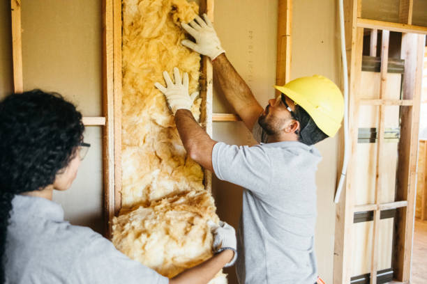 Best Spray Foam Insulation  in Indian Trail, NC